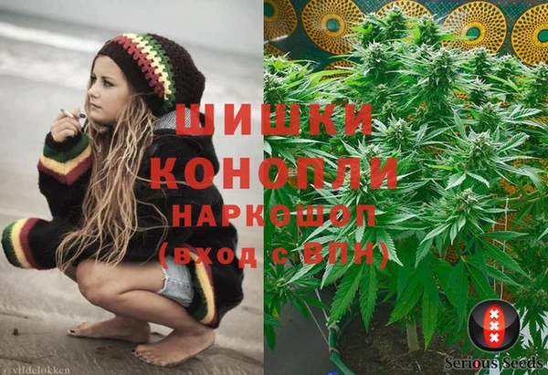 твердый Ельня
