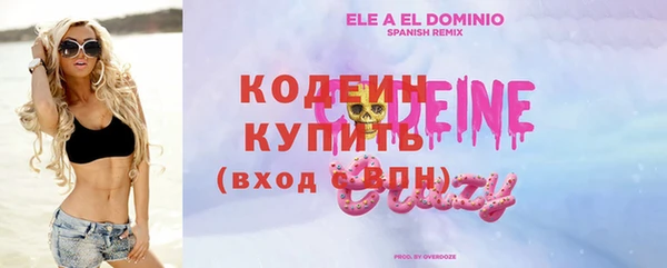 мет Елабуга