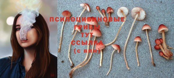 твердый Ельня