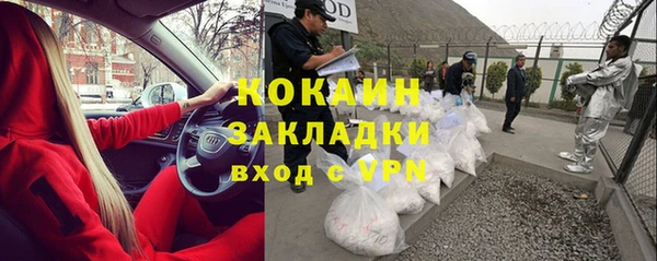 твердый Ельня