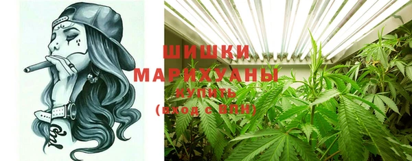 мет Елабуга