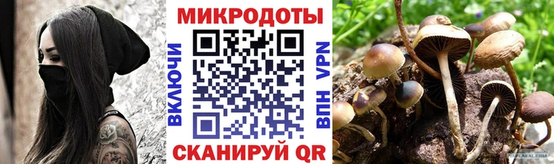Купить закладки  Фролово  Псилоцибиновые грибы MAGIC MUSHROOMS 